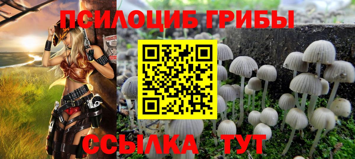 Новокузнецк  Галлюциногенные грибы Psilocybe  Галлюциногенные грибы Cubensis  Вход с VPN 